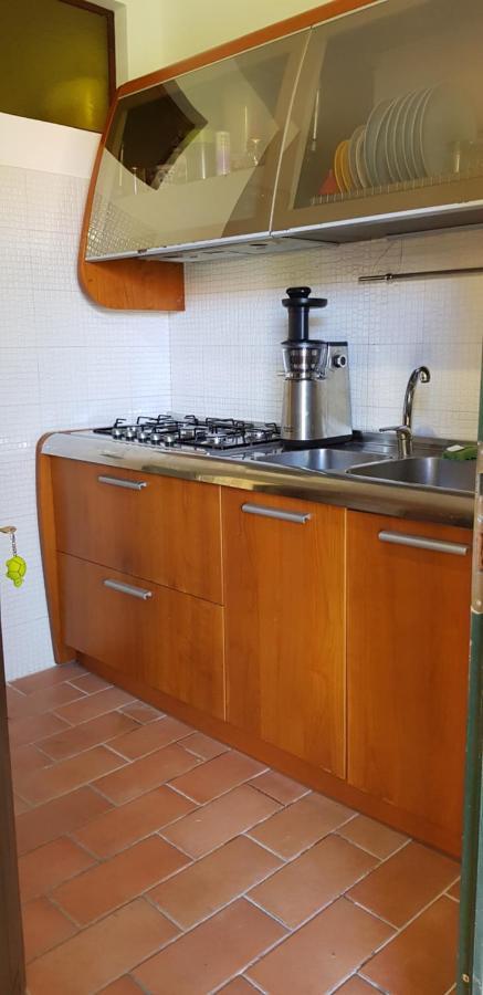 פיזה Villa Il Lauro מראה חיצוני תמונה