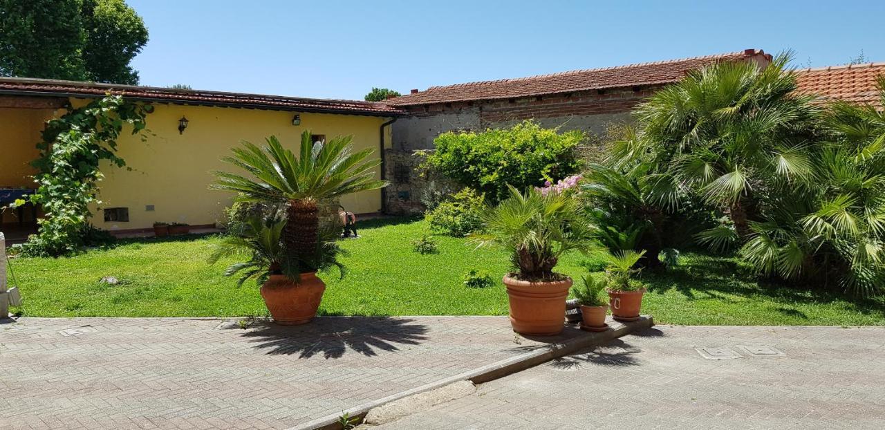 פיזה Villa Il Lauro מראה חיצוני תמונה